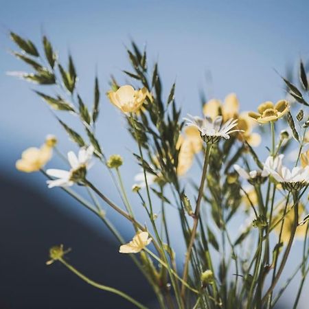 شقة Alpenrose رامسو ام زيلرتال المظهر الخارجي الصورة